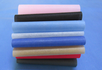 武陵涤纶（PET）无纺布是什么